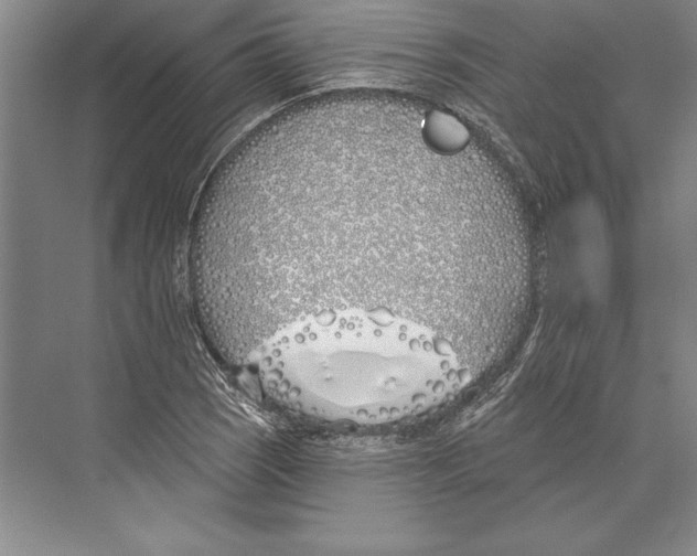 X0000072491121200608111555