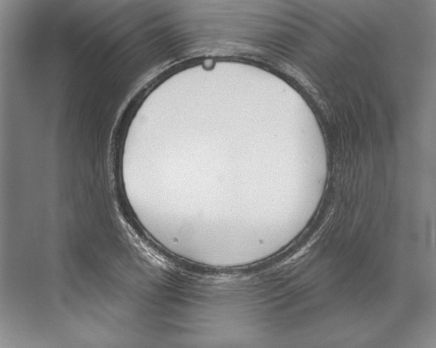 X0000072491122200608111555