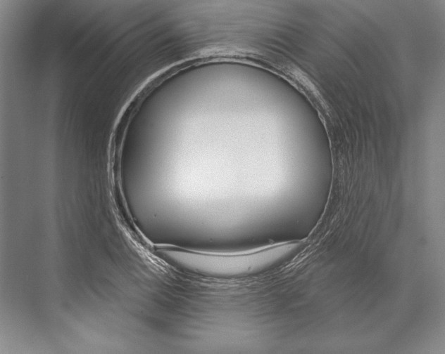 X0000072491124200608111555