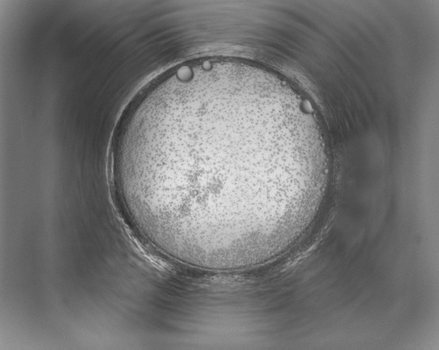 X0000072491125200608111555