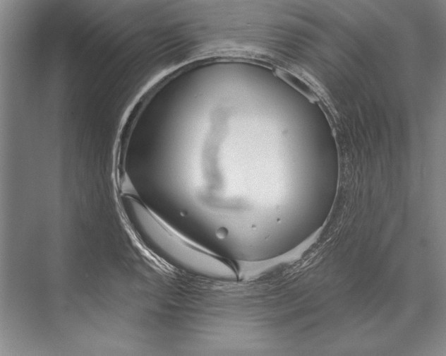 X0000072491128200608111555