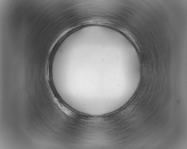 X0000072491131200608111555