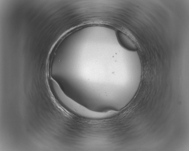 X0000072491132200608111555