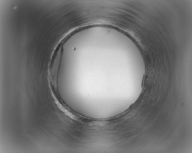 X0000072491134200608111555