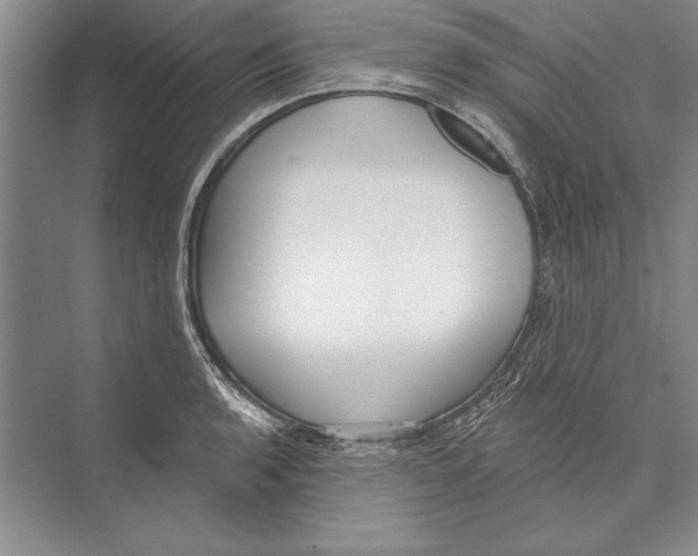 X0000072491136200608111555