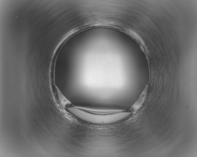 X0000072491138200608111555