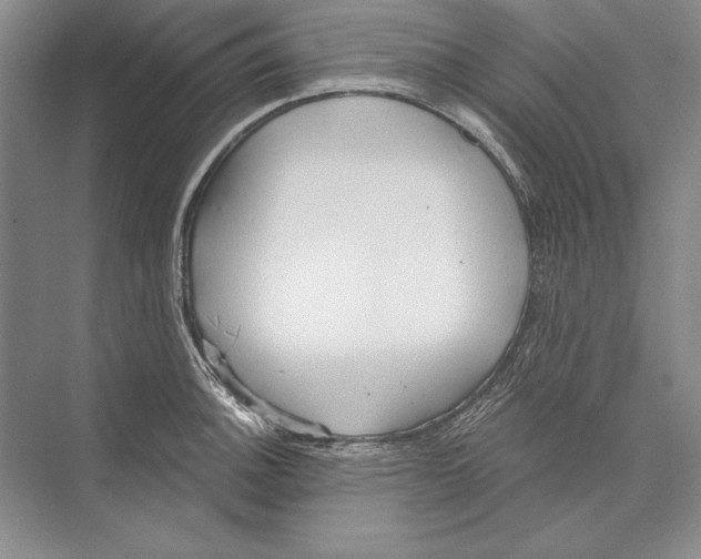 X0000072491140200608111555