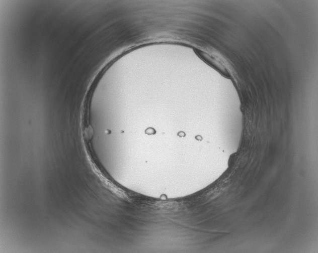 X0000072491142200608111555