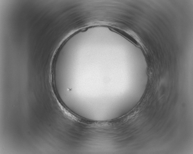 X0000072491143200608111555