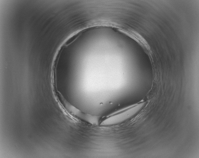 X0000072491144200608111555