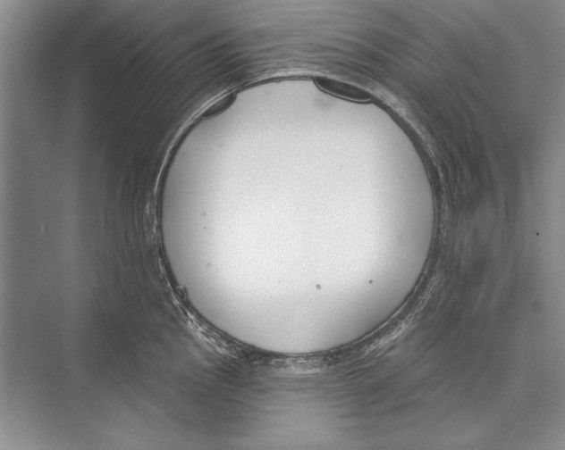 X0000072491145200608111555