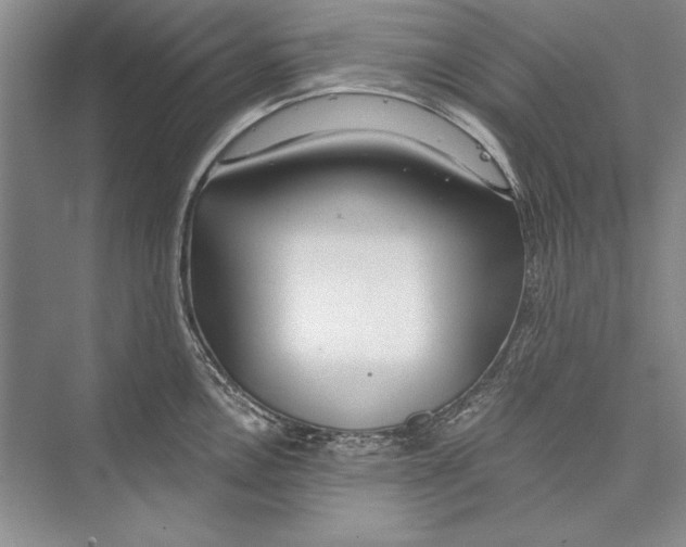 X0000072491146200608111555