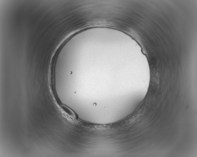 X0000072491147200608111555