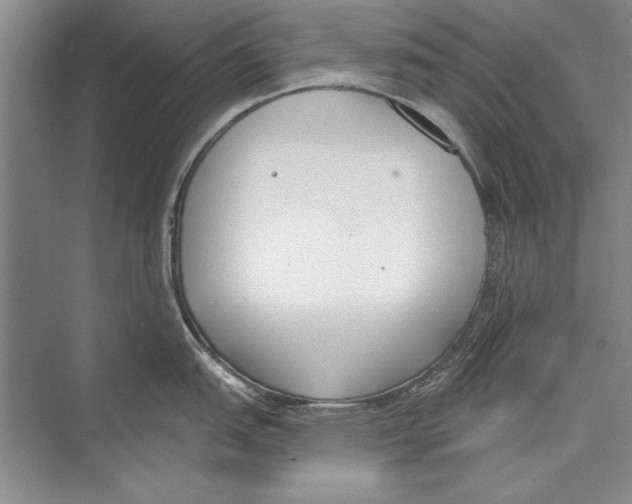 X0000072491151200608111555