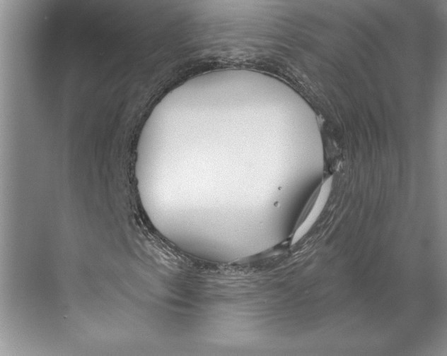 X0000072491153200608111554