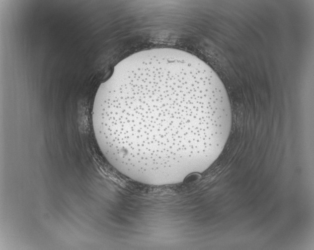 X0000072491154200608111554