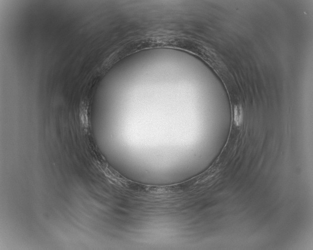 X0000072491155200608111554