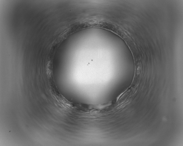 X0000072491156200608111554