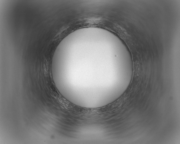 X0000072491158200608111554