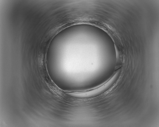 X0000072491161200608111554