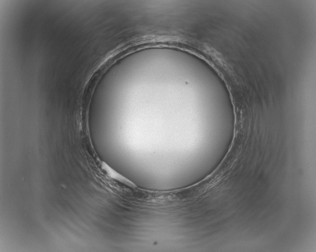 X0000072491165200608111554