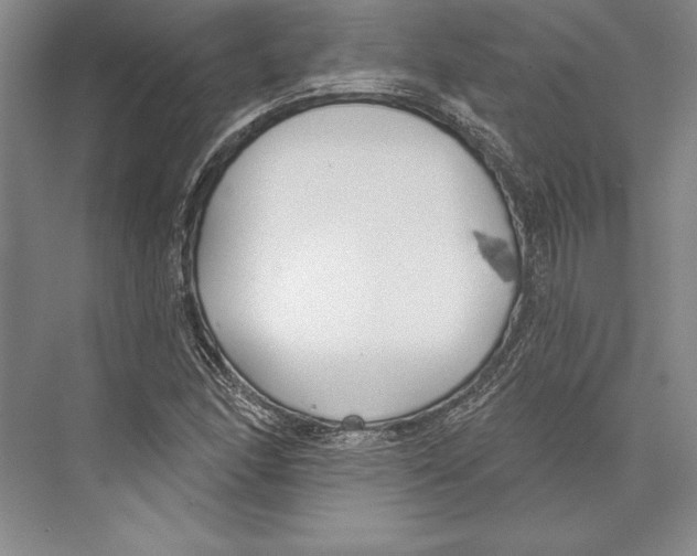 X0000072491166200608111554