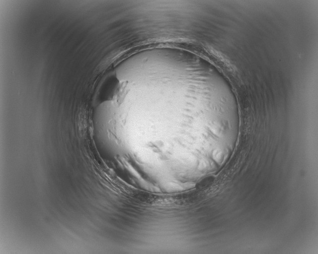 X0000072491169200608111554