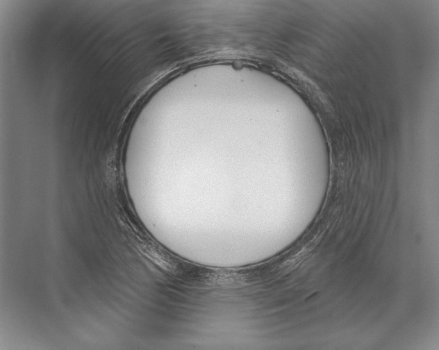 X0000072491170200608111554