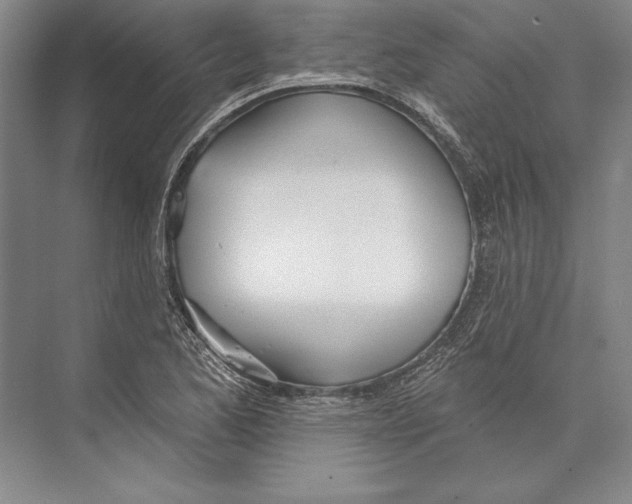 X0000072491173200608111554