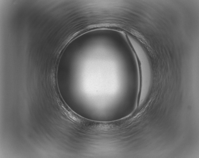 X0000072491177200608111554