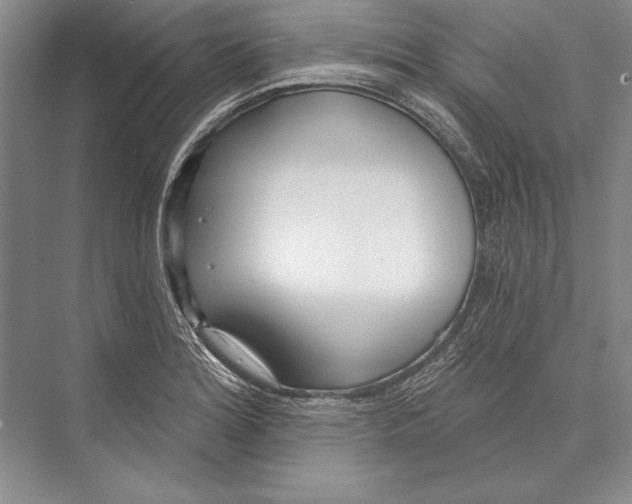 X0000072491180200608111554