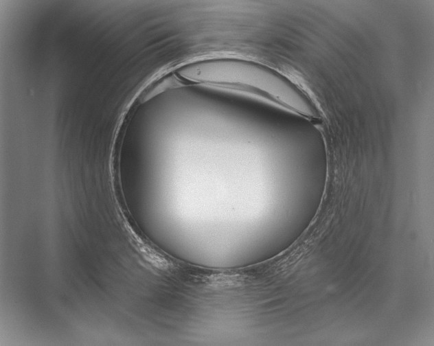 X0000072491181200608111554