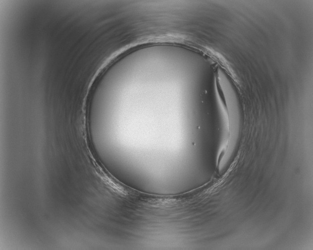 X0000072491184200608111554