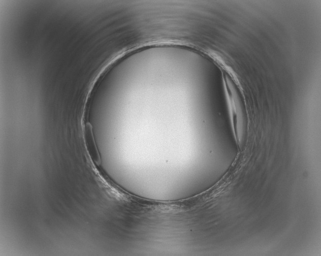 X0000072491189200608111554