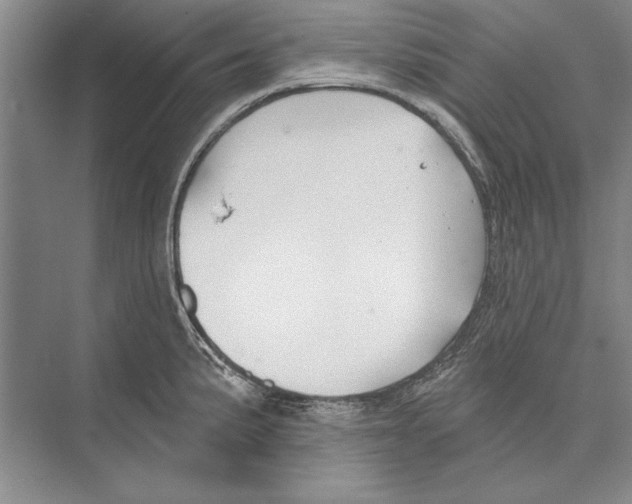 X0000072491191200608111554