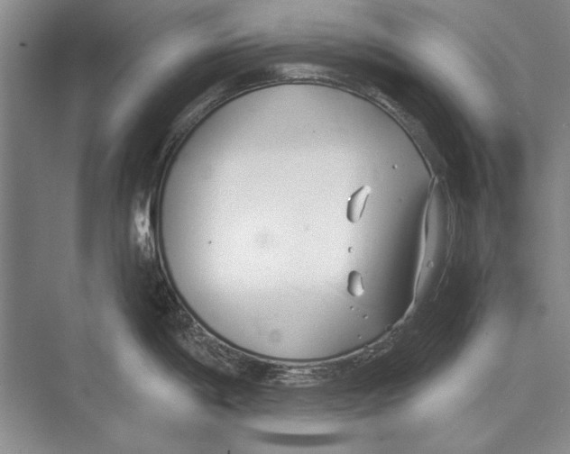 X0000072491198200608111554