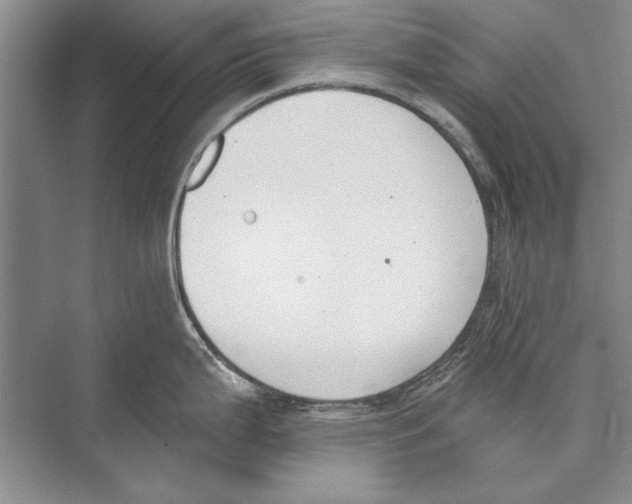 X0000072491199200608111554