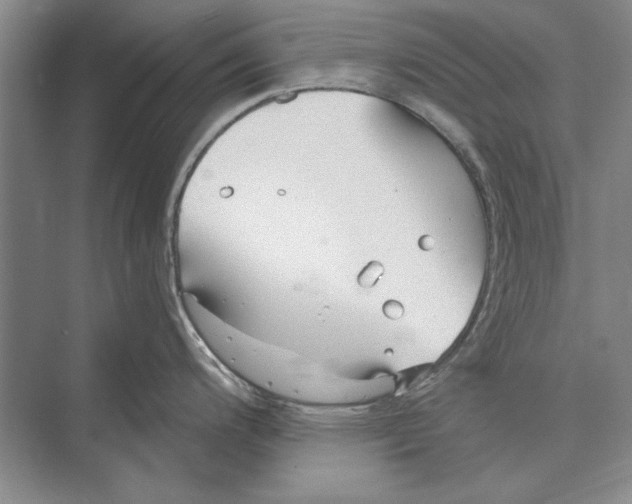 X0000072491200200608111554