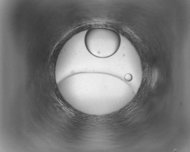 X0000072491208200608111553