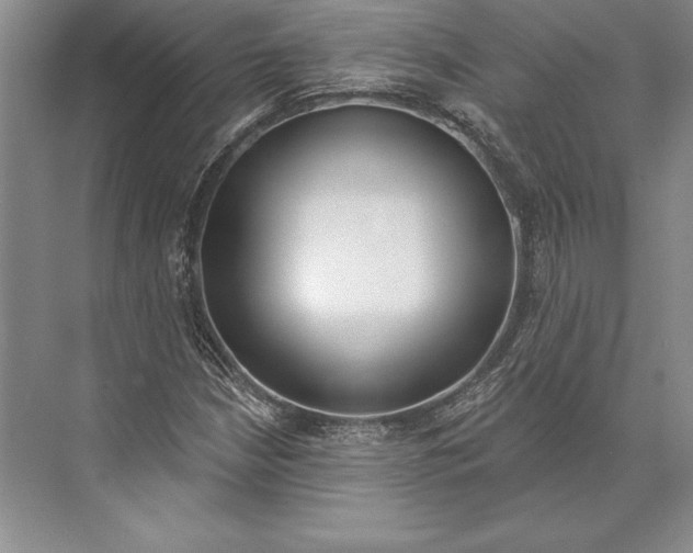 X0000072491210200608111553