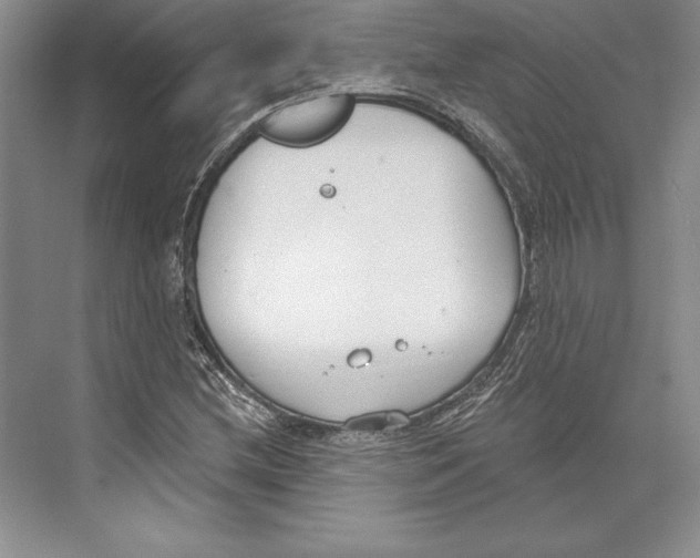 X0000072491212200608111553