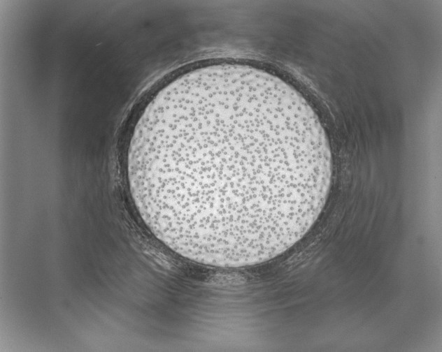 X0000072491215200608111553