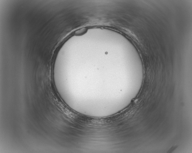 X0000072491220200608111553