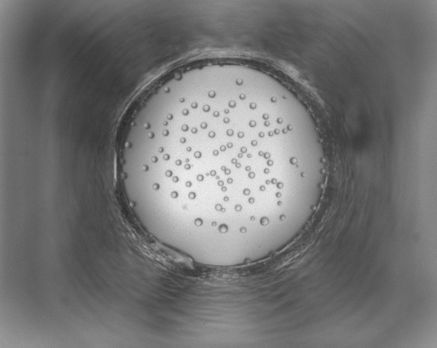 X0000072491221200608111553