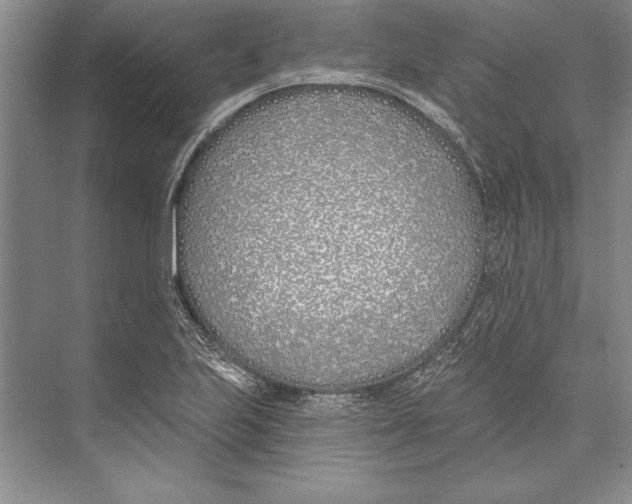 X0000072491223200608111553