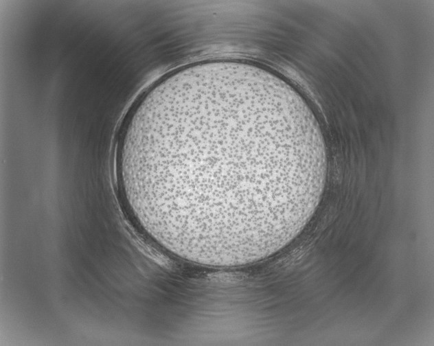 X0000072491227200608111553