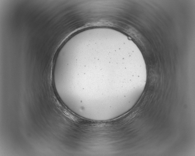 X0000072491228200608111553