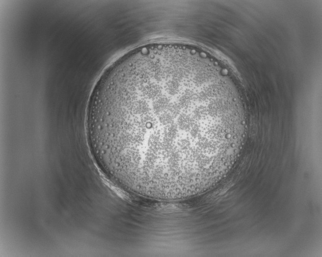 X0000072491231200608111553