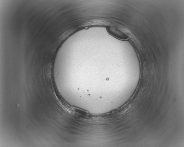 X0000072491233200608111553