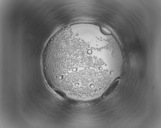 X0000072491243200608111554